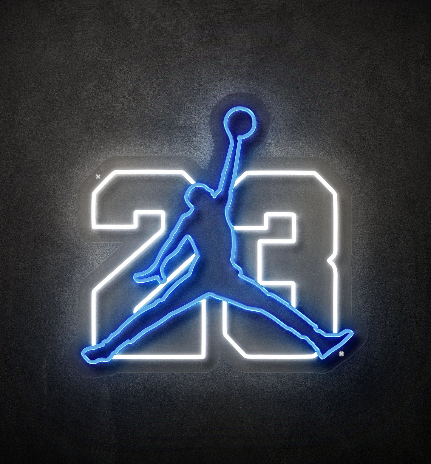 The 23
