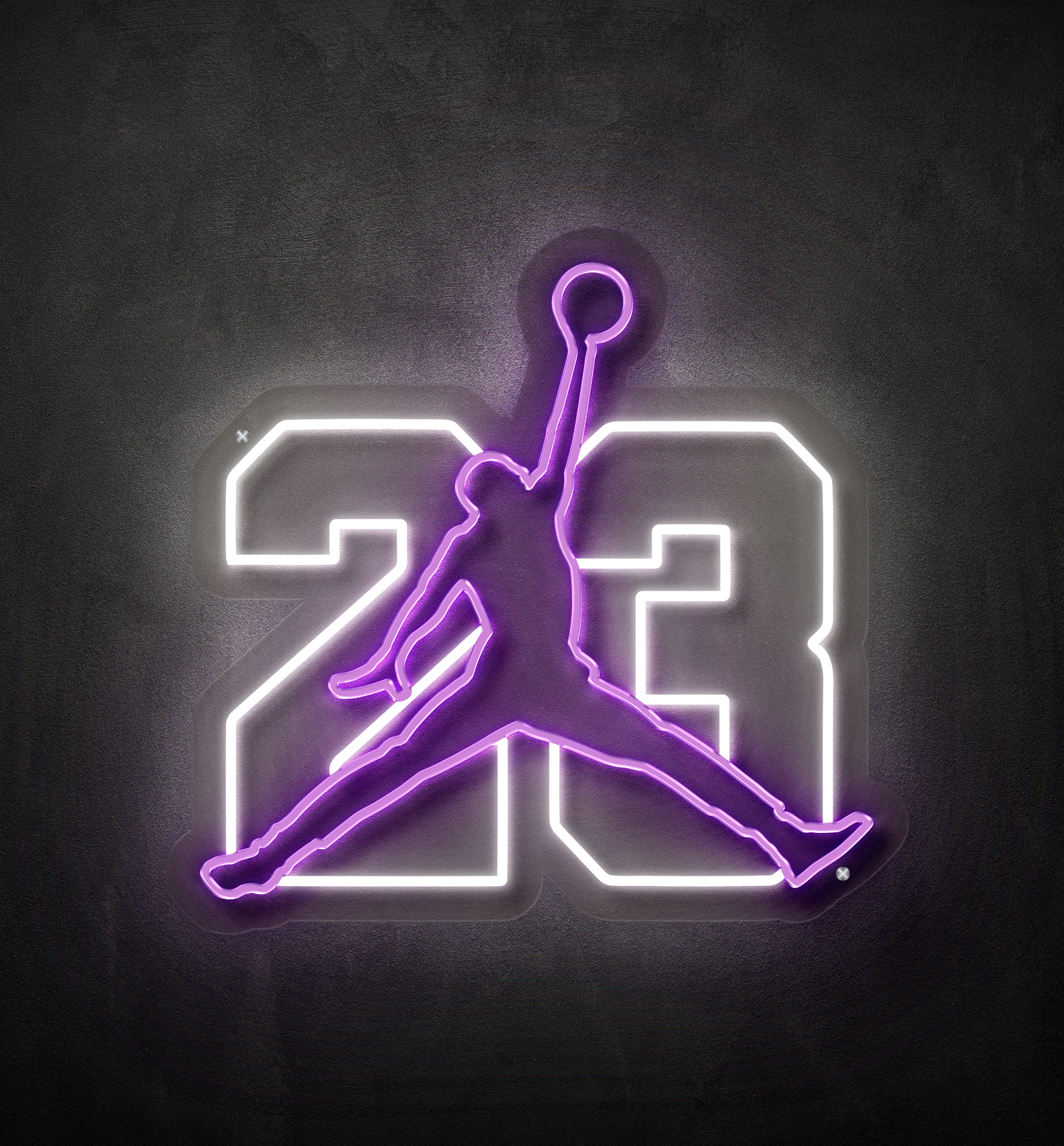 The 23